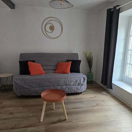 Superbe Appartement Au Coeur Du Centre Ville カルカソンヌ エクステリア 写真