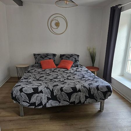 Superbe Appartement Au Coeur Du Centre Ville カルカソンヌ エクステリア 写真